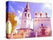 Stretched Canvas Print
