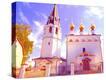 Stretched Canvas Print