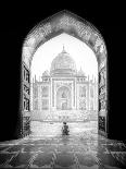 Taj Mahal-Alex Lu-Giclee Print