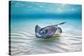 Stretched Canvas Print