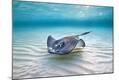 Premium Photographic Print