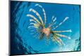 Premium Photographic Print
