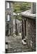 Premium Photographic Print