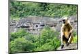 Premium Photographic Print