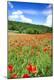 Premium Photographic Print