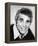 Alex Rocco-null-Framed Stretched Canvas