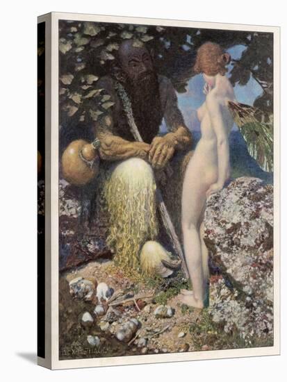 Stretched Canvas Print, , large