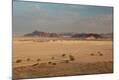 Photographic Print