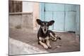 Photographic Print