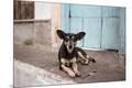 Photographic Print