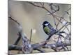 Premium Photographic Print