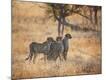 Photographic Print
