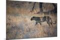 Photographic Print