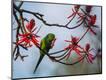 Photographic Print