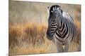 Premium Photographic Print
