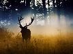 Premium Photographic Print