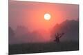 Premium Photographic Print