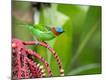 Photographic Print