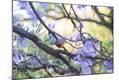 Photographic Print