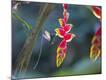 Premium Photographic Print