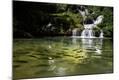 Photographic Print