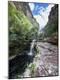 Photographic Print