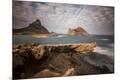 Photographic Print