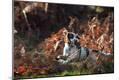 Photographic Print