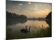 Photographic Print