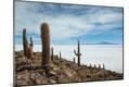 Photographic Print