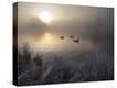 Stretched Canvas Print