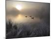 Premium Photographic Print