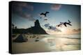Stretched Canvas Print