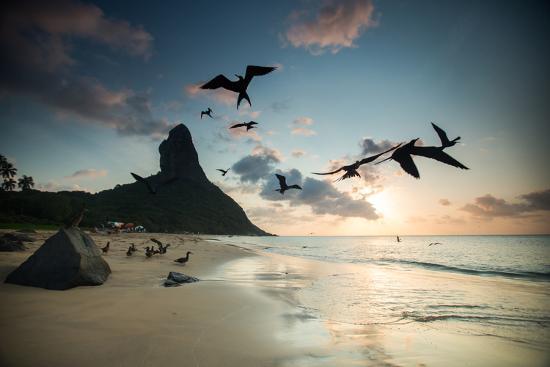 Photographic Print, , large