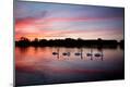Photographic Print
