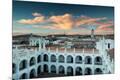 Premium Photographic Print