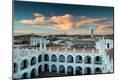 Photographic Print