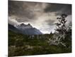 Photographic Print