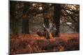 Photographic Print
