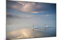 Photographic Print