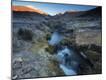 Photographic Print