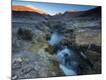 Photographic Print
