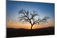 Photographic Print