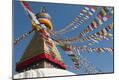 Premium Photographic Print