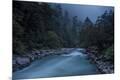Photographic Print