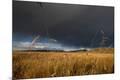 Premium Photographic Print
