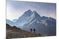 Premium Photographic Print