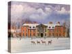 Stretched Canvas Print