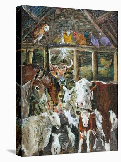 Stretched Canvas Print, , large