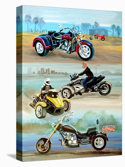 Stretched Canvas Print, , large